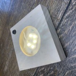 Hydroponic Clusia Rosea 'Princess' (PBR) And LED Light -Garden Plant Store pl2000035890 card5 lg