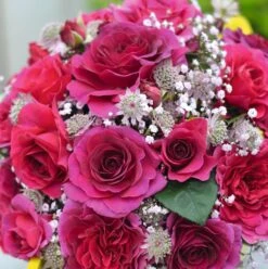 Rosa Timeless Purple ('Noa38121') (PBR) 2 Rosa Timeless Purple ('Noa38121') (PBR) -Garden Plant Store pl2000036975 card3 lg