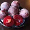 Plumcot 'Flavor King' (Pluot Series) 2 Plumcot 'Flavor King' (Pluot Series) -Garden Plant Store pl2000042740